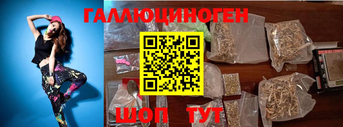 Псилоцибиновые грибы прущие грибы  Вход с VPN  Петропавловск-Камчатский 